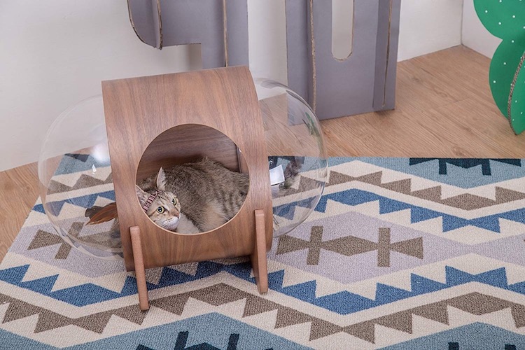 spaceship inspired cat beds