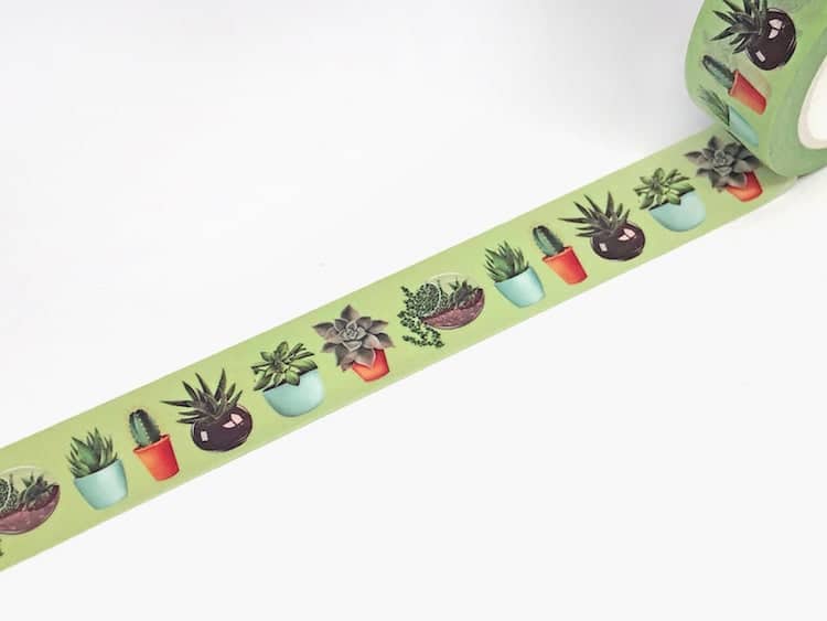 Succulent Washi Tape