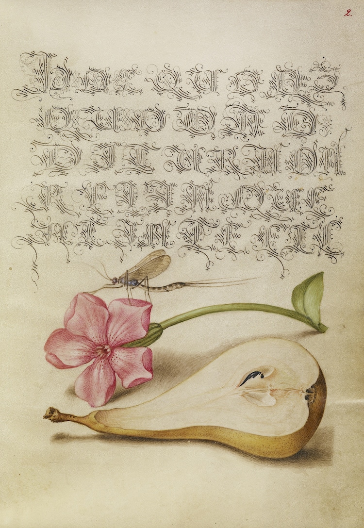 16th Century Calligraphy Manual