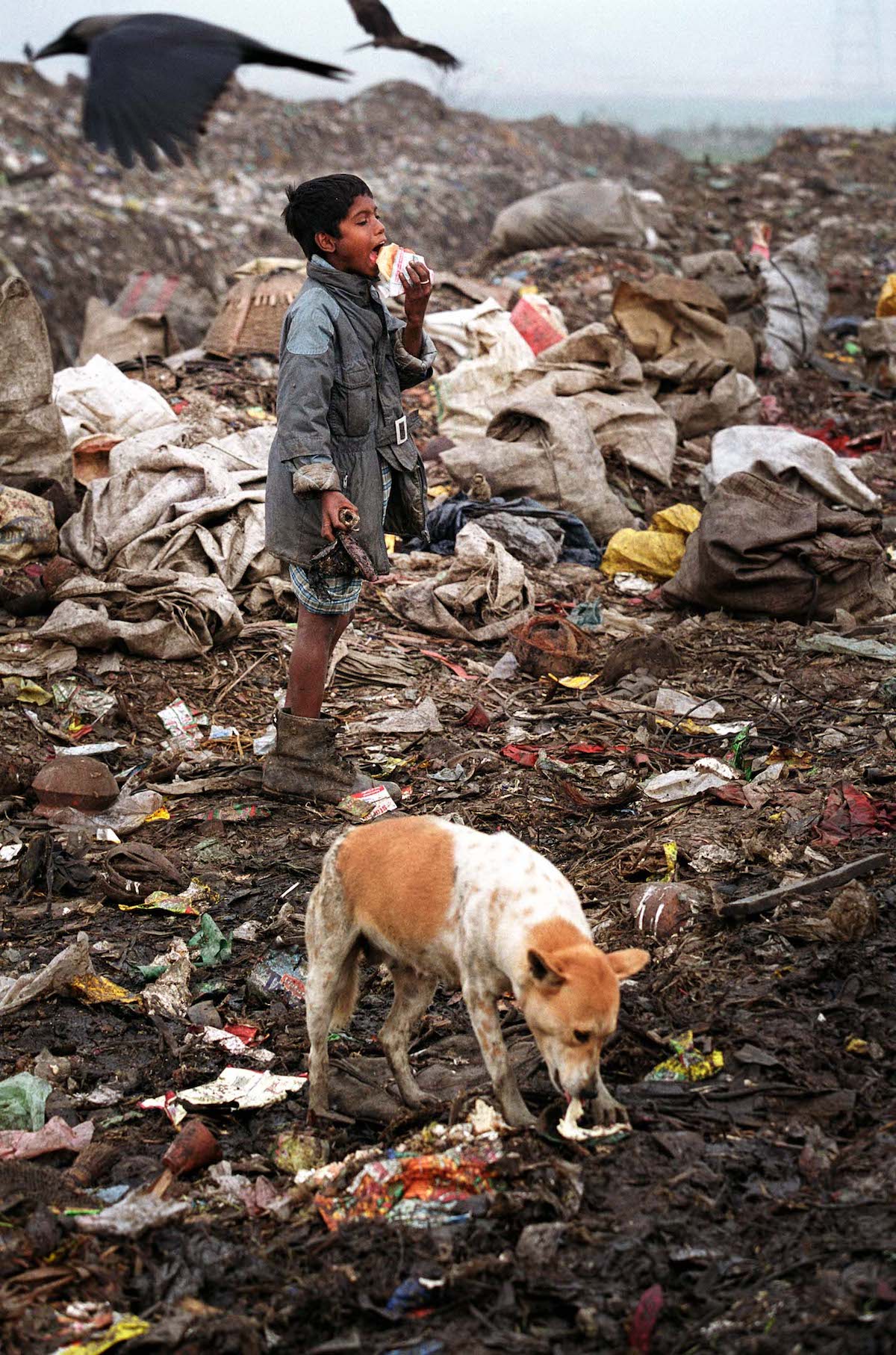 Social Photojournalism by GMB Akash