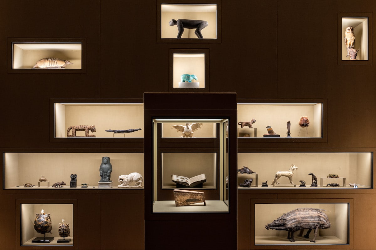 Exposición de Arte de Wes Anderson en Kunsthistorisches Museum Wien