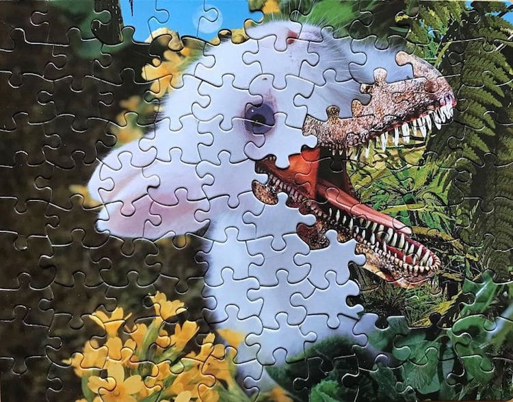 Artist Creates Surreal Montage Puzzle Art by Mixing up the Jigsaw Pieces