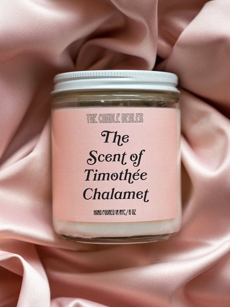 The Scent of Timothee Chalamet Candle