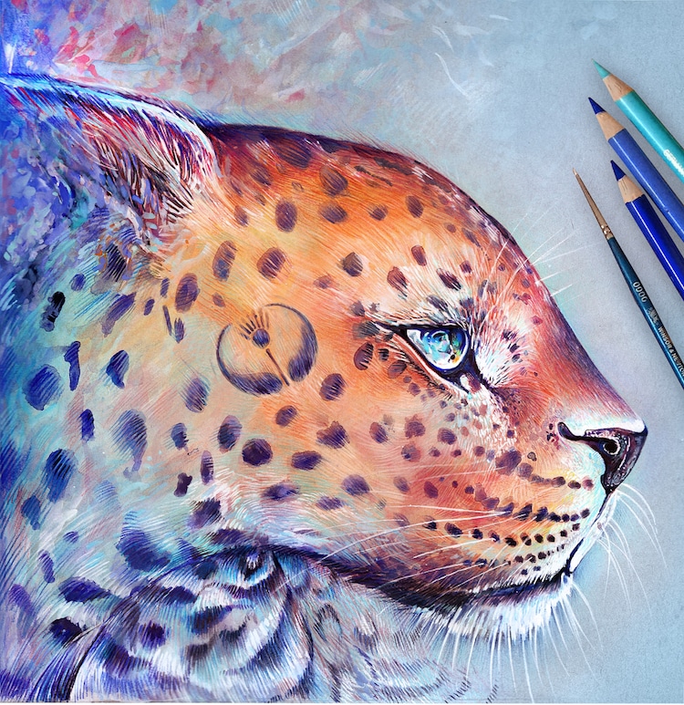 Color Pencil Drawings by Georgina Kreutzer