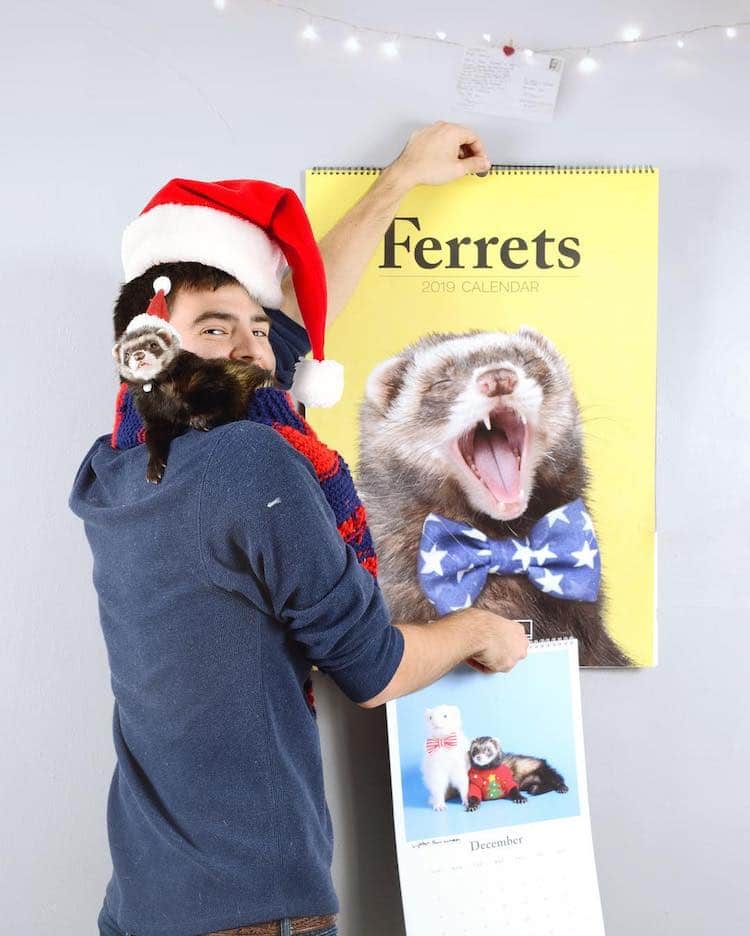 Ferret 2019 Yearly Calendar