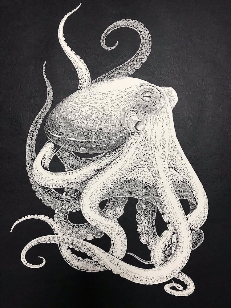 Kirie Paper Cutting Art Octopus by Masayo Fukuda