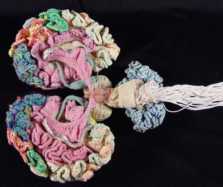 Knitted Human Brain by Dr Karen Norberg