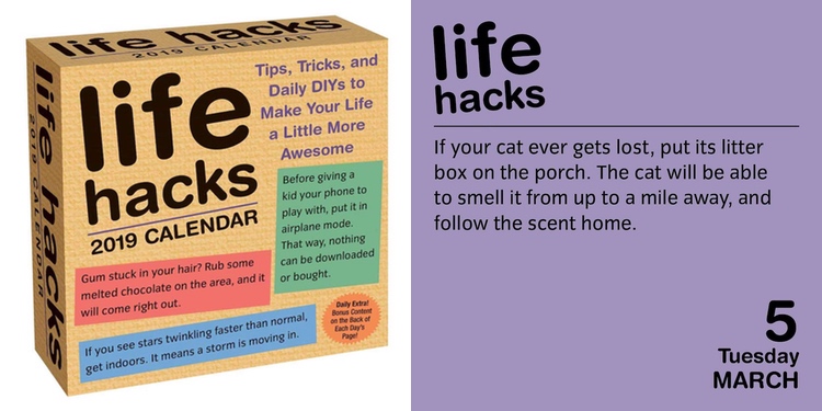 Life Hacks 2019 Calendar