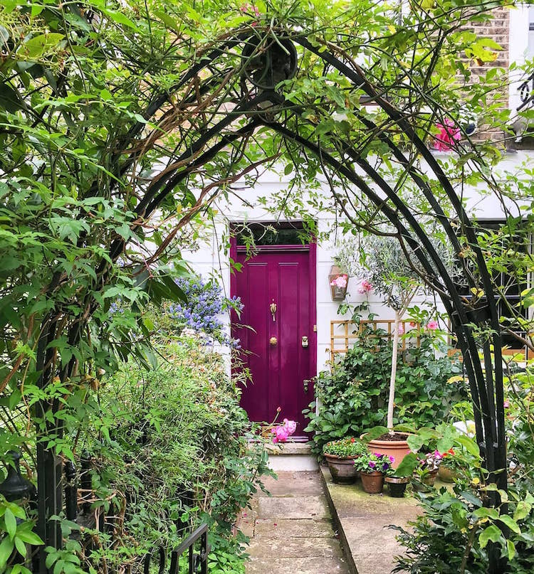 London Front Door Colors Photos by Bella Foxwell