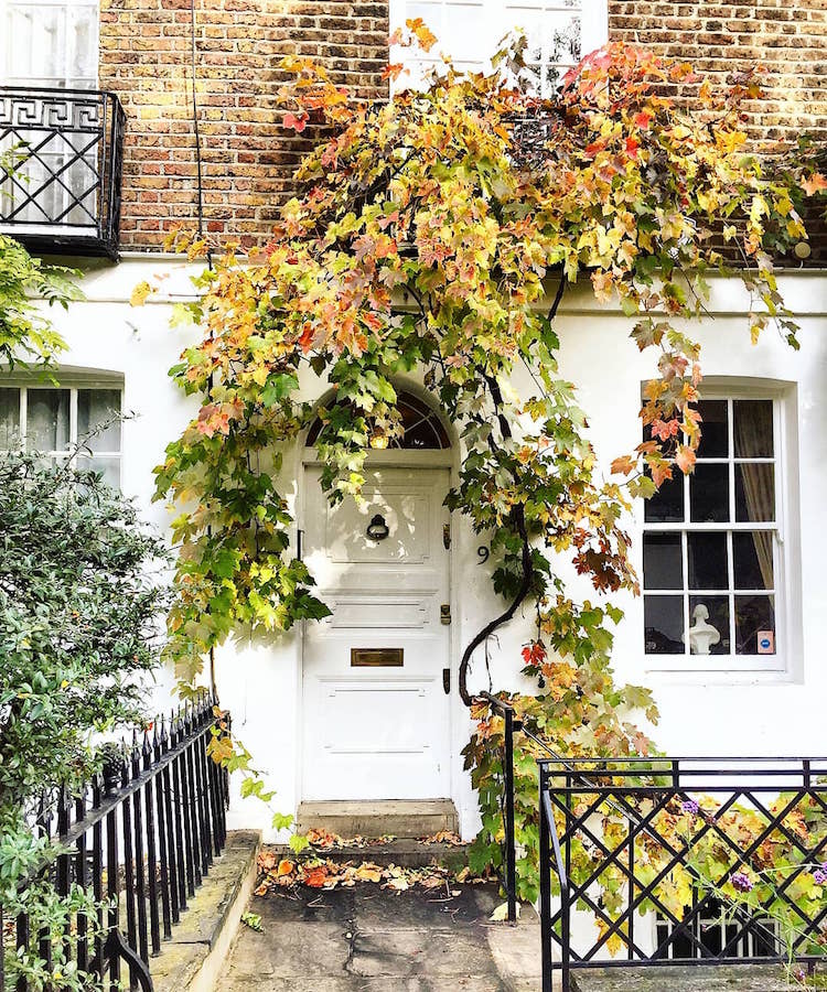 London Front Door Colors Photos by Bella Foxwell