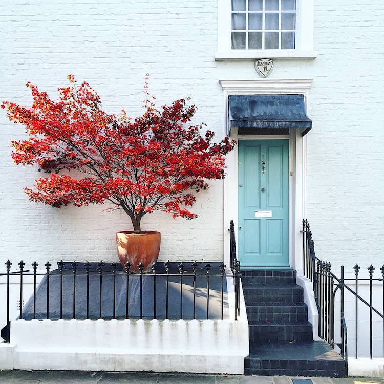 London Front Door Colors Photos by Bella Foxwell