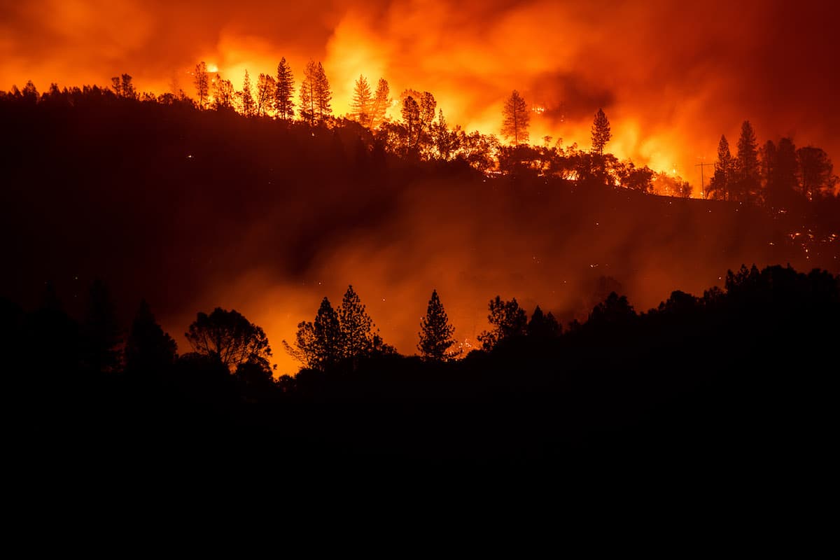 2018 California Wildfires as Seen by AP Photojournalist Noah Berger