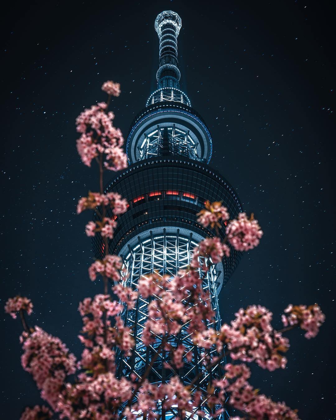 RK RK fotografías de japón de noche asia torre de tokio de noche