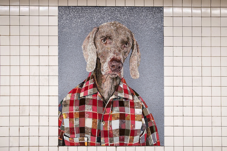 William Wegman Stationary Figures Weimaraner Wearing Clothes Subway Mosaics