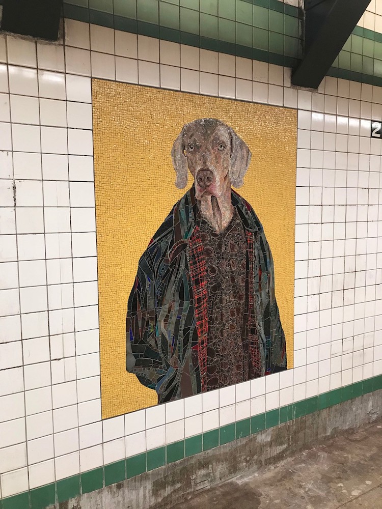 William Wegman Stationary Figures Weimaraner Wearing Clothes Subway Mosaics