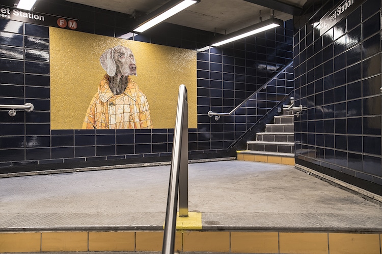 William Wegman Stationary Figures Weimaraner Wearing Clothes Subway Mosaics