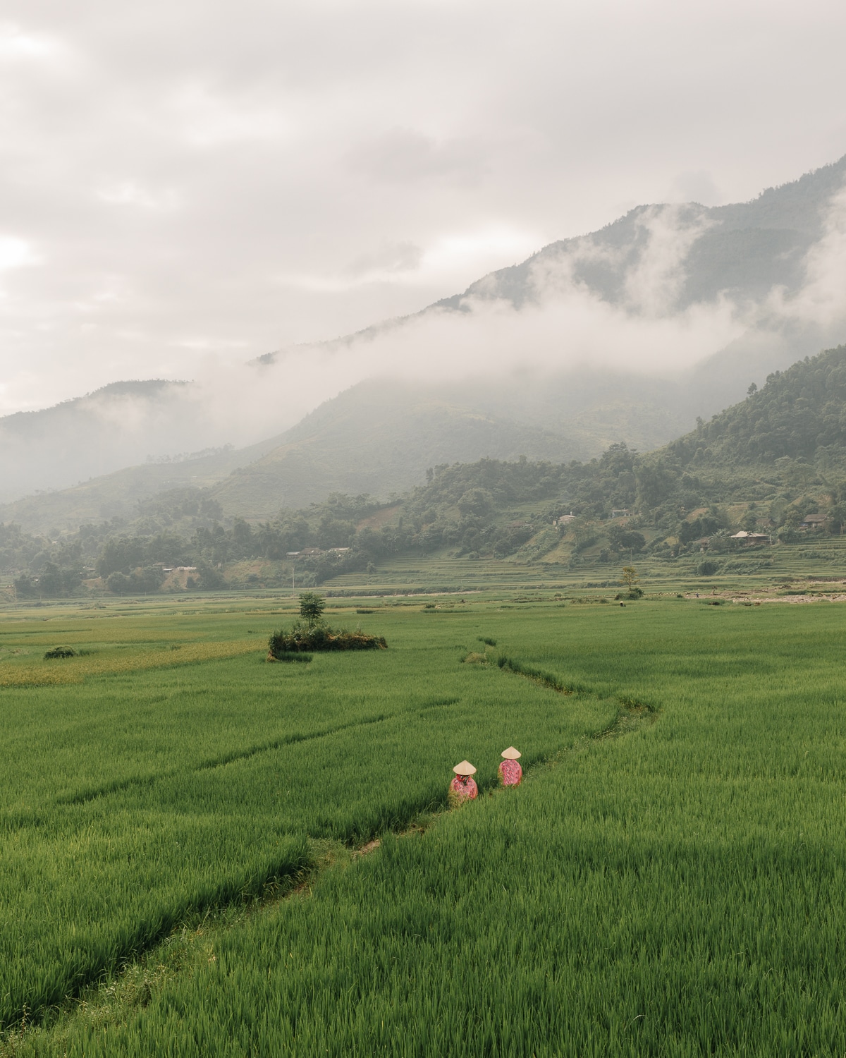 Vietnam Travel Photography by Kevin Faingnaert