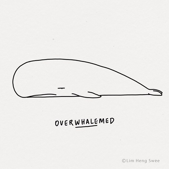 Animal Puns Illustrations by Lim Heng Swee