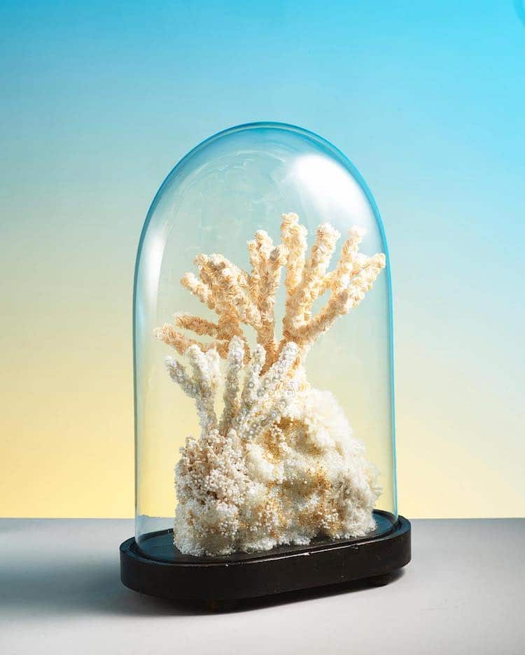 Poumons des Oceans by Aude Bourgine Textile Coral Reef Sculpture