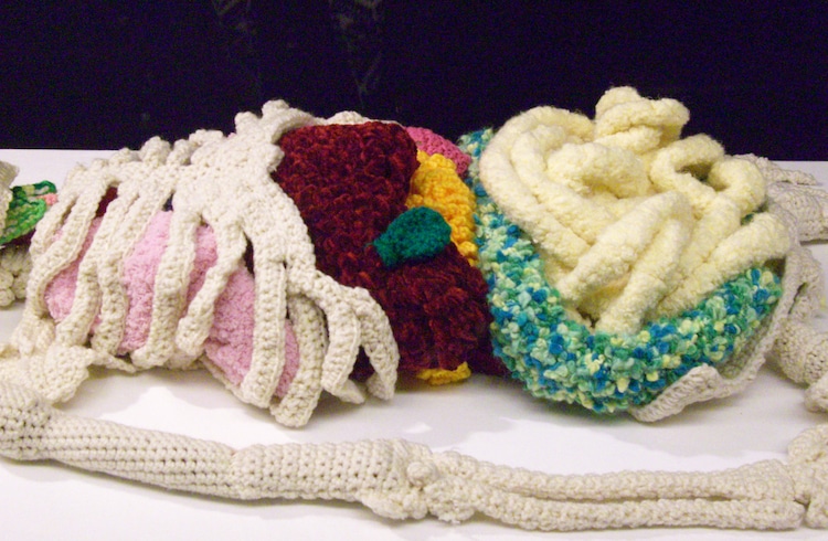 Crochet Anatomical Model by Shanell Papp