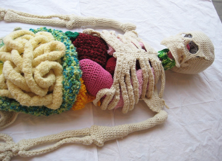 Crochet Art - Anatomical Model by Shanell Papp