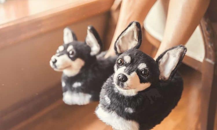 You Can Now Get Fuzzy Animal Slippers That Look Like Your Pet