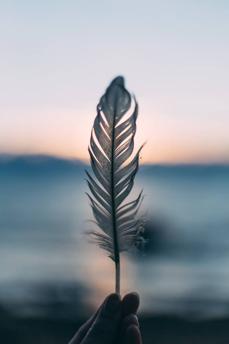 Photograph of a Feather