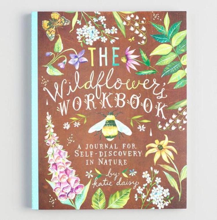 The Wildflower's Workbook Katie Daisy Book