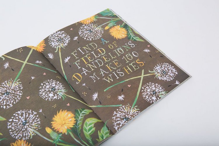 The Wildflower's Workbook Katie Daisy Book
