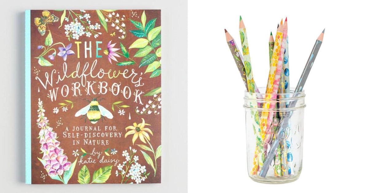 Katie Daisy Book, 'the Wildflower's Workbook,' Is Perfect For Nature Lovers