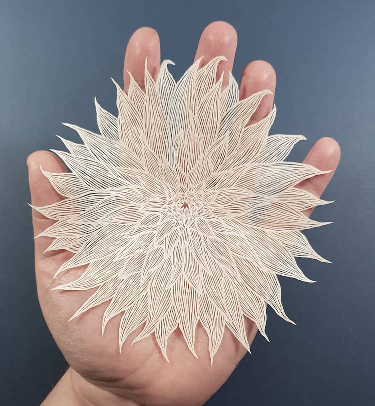 Brilliant Paper Art - Paper Cutting Artwork By Pippa Dyrlaga