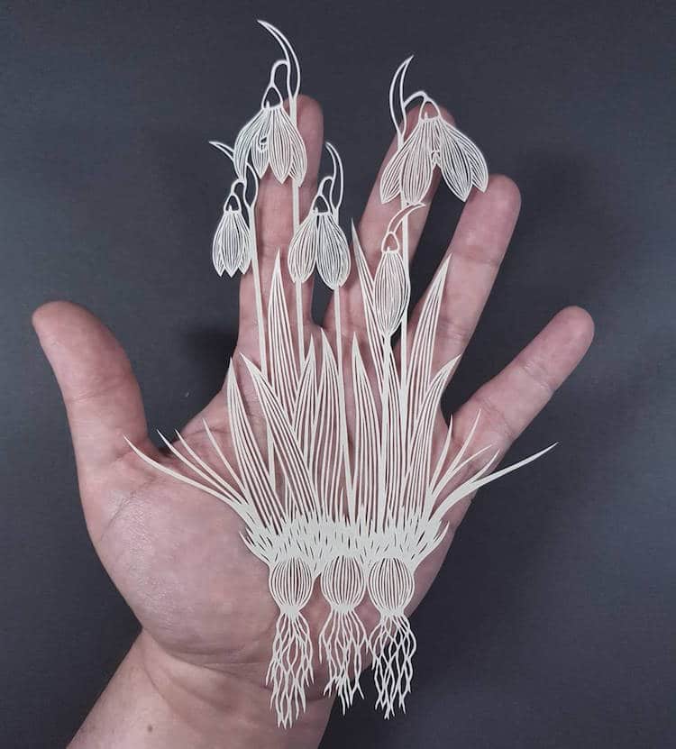 Paper Cutting art by Pippa Dyrlaga