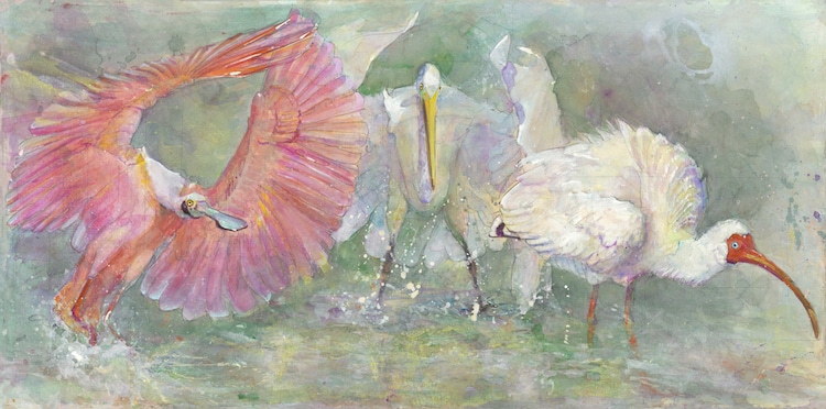 Peggy Macnamara Field Museum Paintings Wildlife Watercolor Paintings