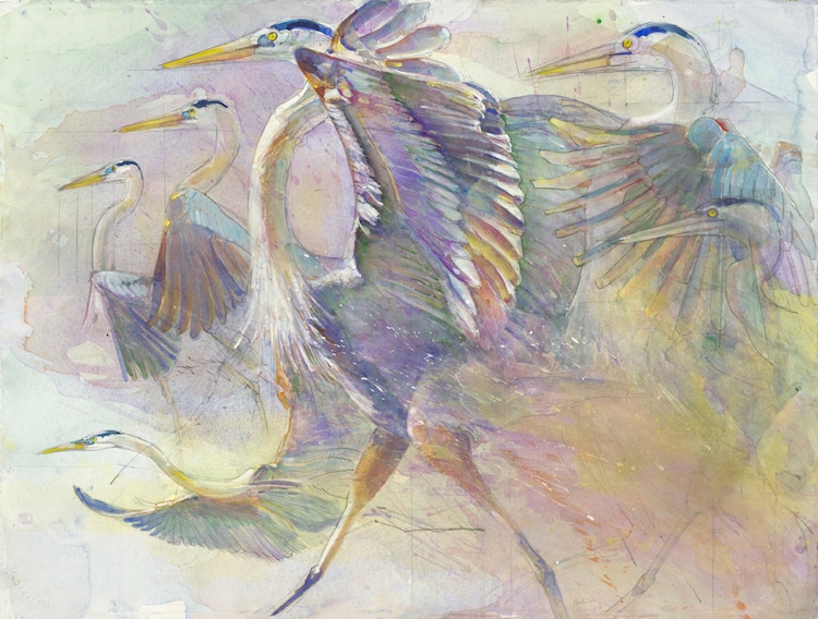 Peggy Macnamara Field Museum Paintings Wildlife Watercolor Paintings