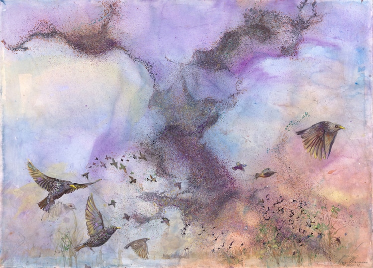 Peggy Macnamara Field Museum Paintings Wildlife Watercolor Paintings