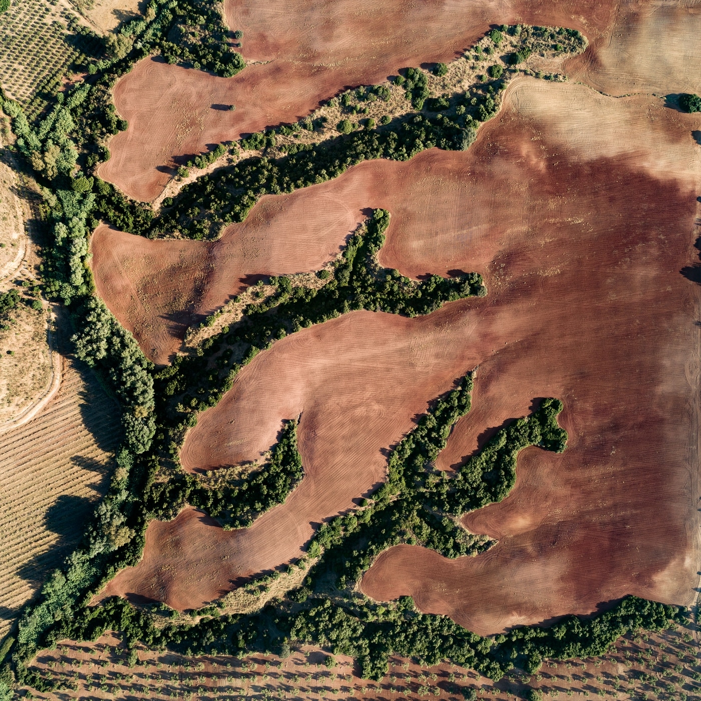 Dry River Bed - Environmental Photography