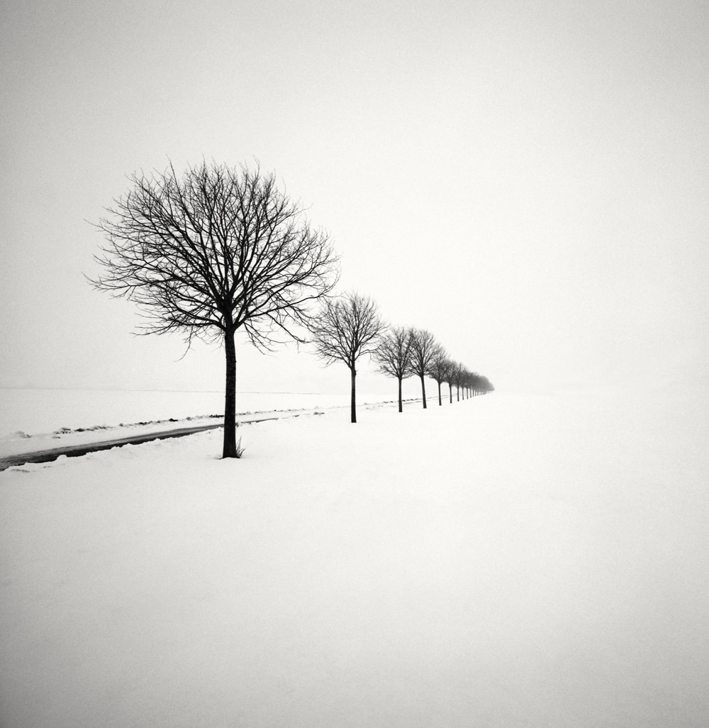 Winterscapes Snow Covered Trees in Winter Hakan Strand 