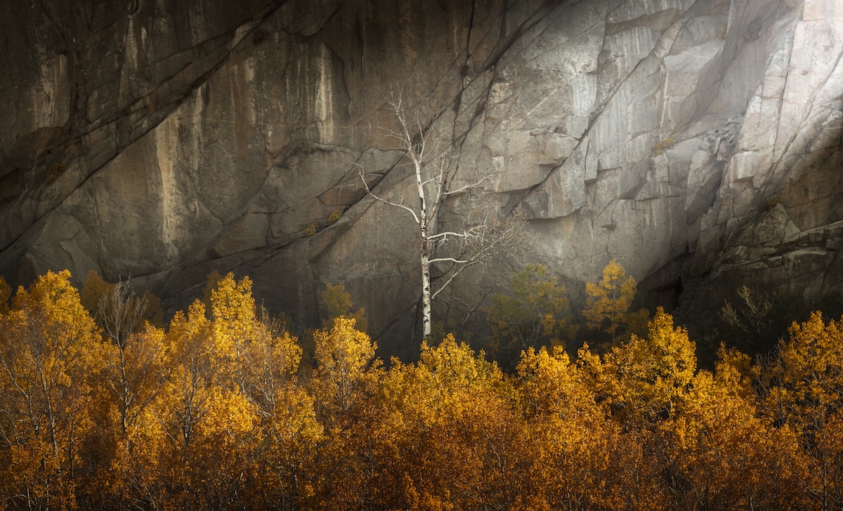 Concurso International Landscape Photographer of the Year Fotógrafos de Paisaje