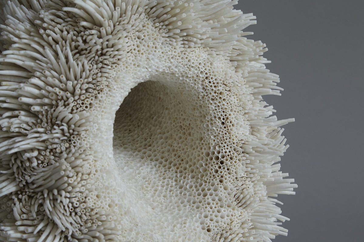 Rowan Mersh - Seashell Sculptures