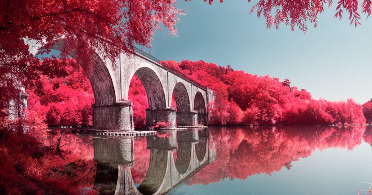 404 error page deisgn example #247: Infrared Lens Filter Successfully Mimics the Look of Kodak Aerochrome Film
