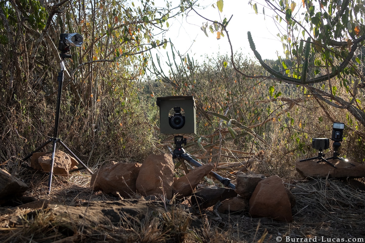 Camtraptions for Wildlife Photography