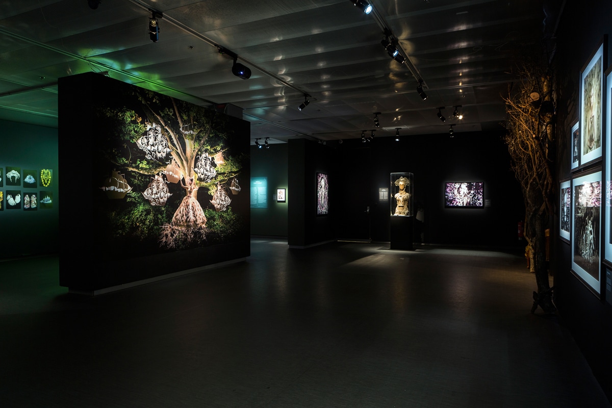 Exhibición multisensorial Wonderland Kirsty Mitchell