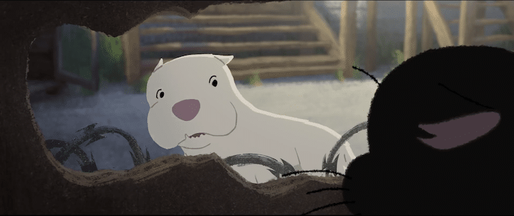 Kitbull: Where to Watch & Stream Online