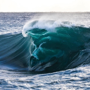 Stunning Shark Photography Shows Two Sharks Inside of a Glassy Wave