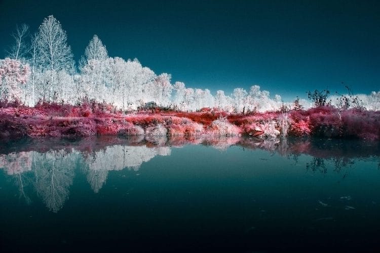 Digital Infrared Photography with Filter