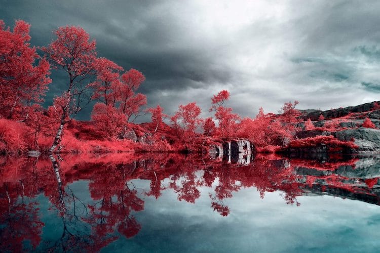 Digital Infrared Photography with Filter