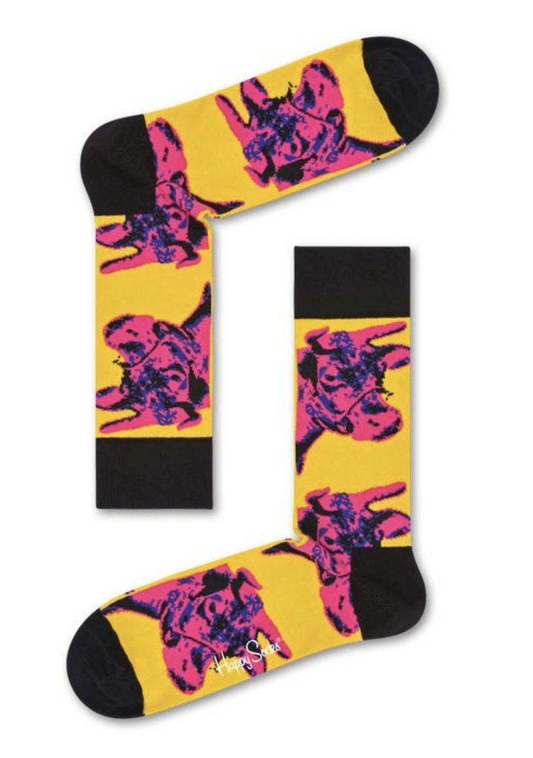 Andy Warhol Happy Socks