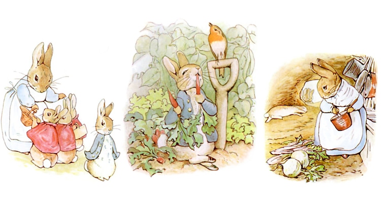 Peter Rabbit Pedrito Conejo Perico Conejo Beatrix Potter