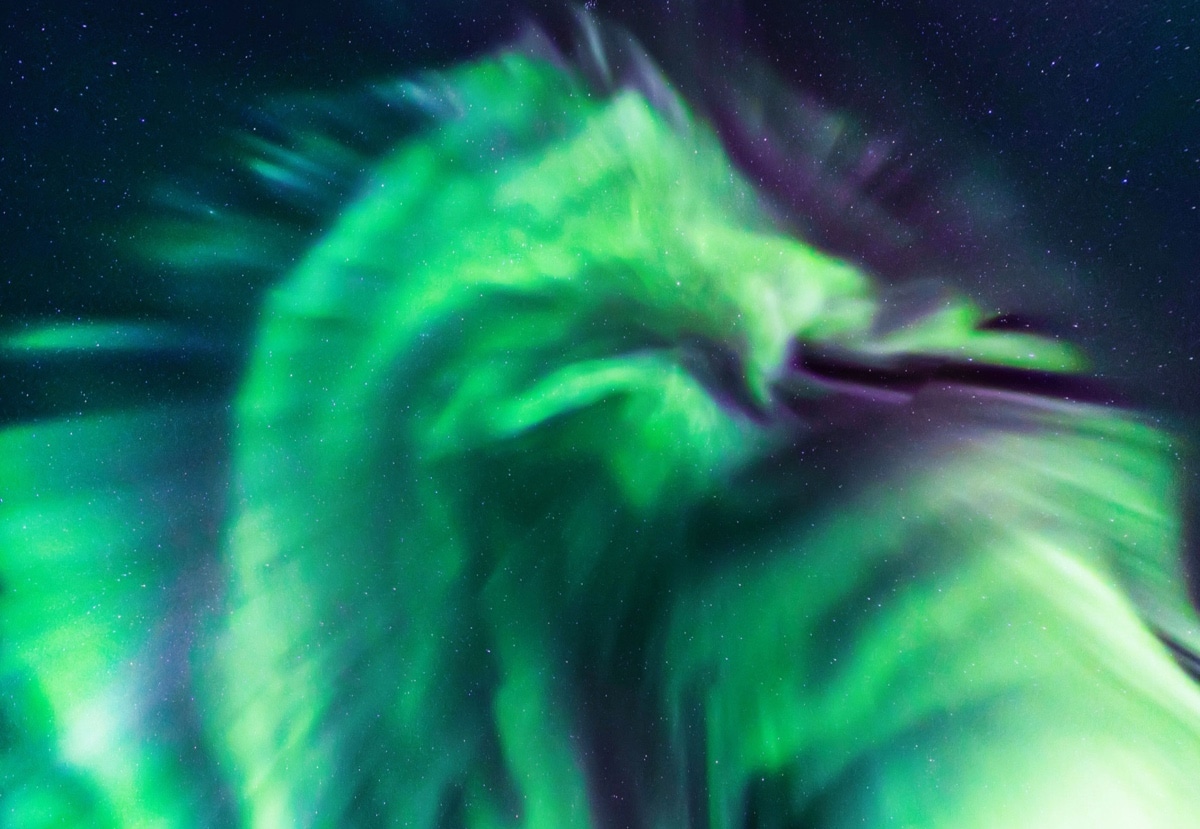 aurora boreal dragón