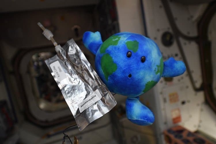 International Space Station Toy Earth
